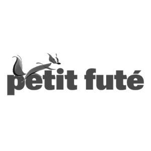 logo petit futé