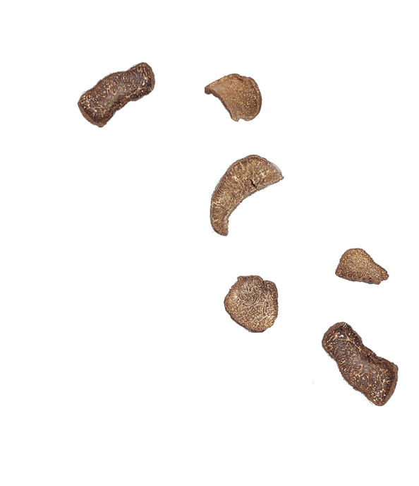 truffes